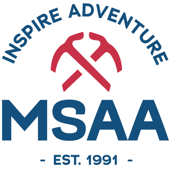 MSAA Store